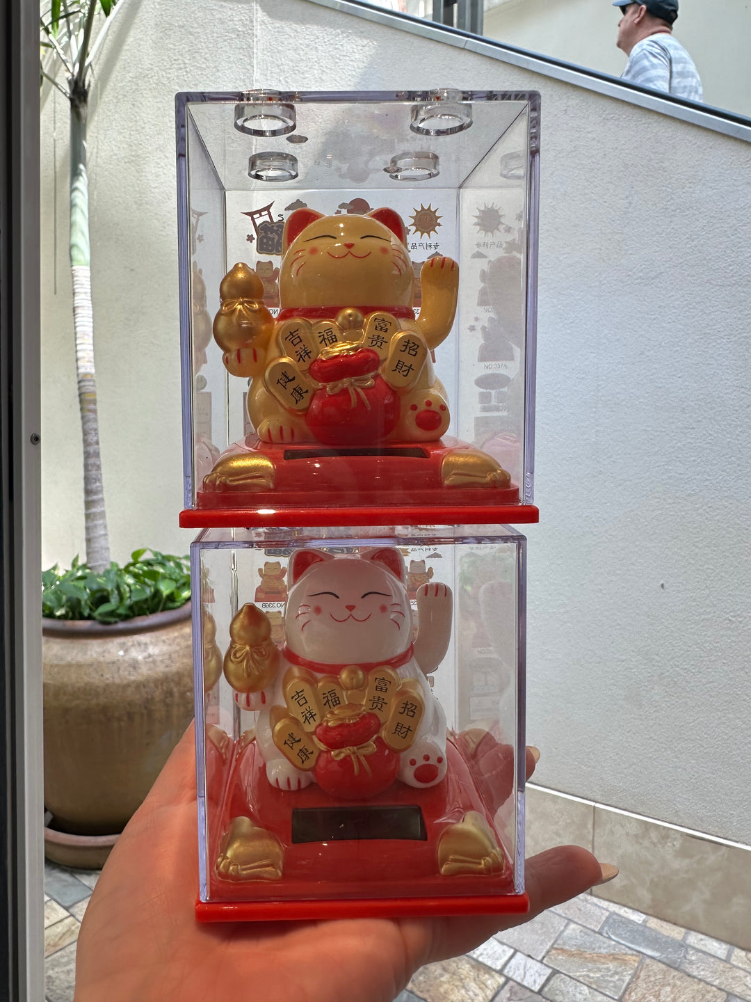 LNY Solar Cat Medium