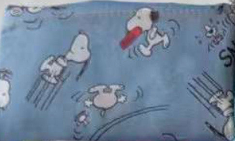 Foldable Bag Jackie CT Snoopy Action Blue